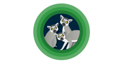 Alludo Managed Service